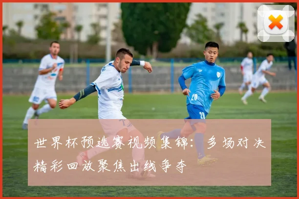 世界杯预选赛视频集锦:多场对决精彩回放聚焦出线争夺